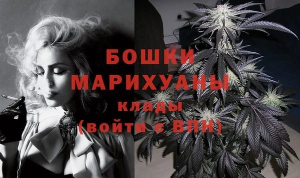 молекула духа Заволжье