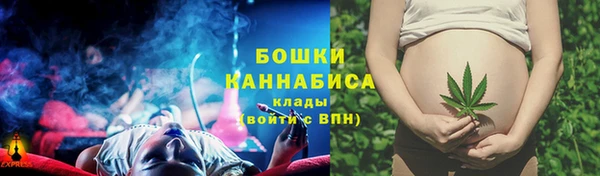 молекула духа Заволжье