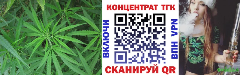 Купить где  Миньяр  ТГК THC oil 