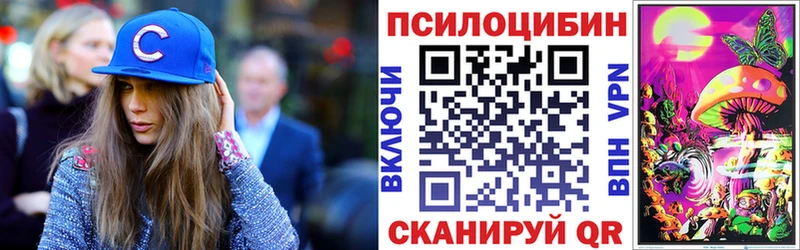 Купить  Миньяр  Псилоцибиновые грибы Psilocybine cubensis 